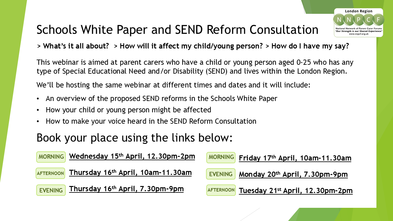 Schools White Paper and SEND Reform Consultation